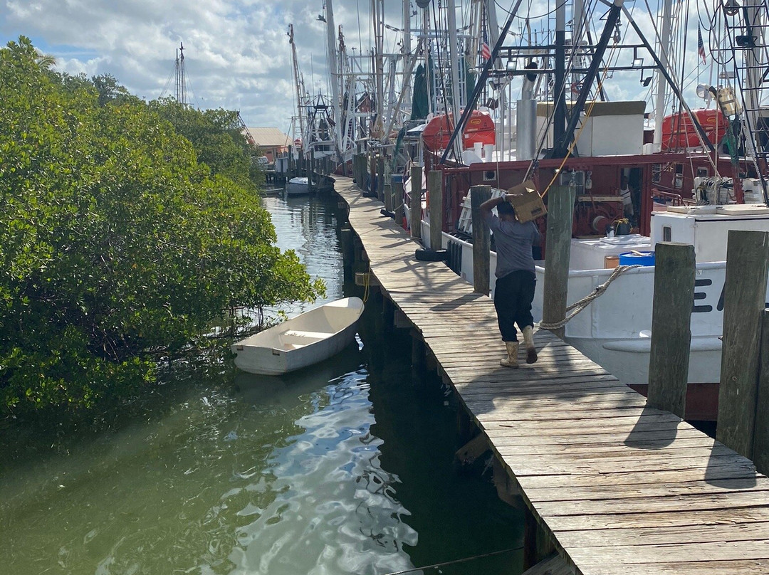 Ostego Bay Marine Science Center-迈尔斯堡海滩必去景点