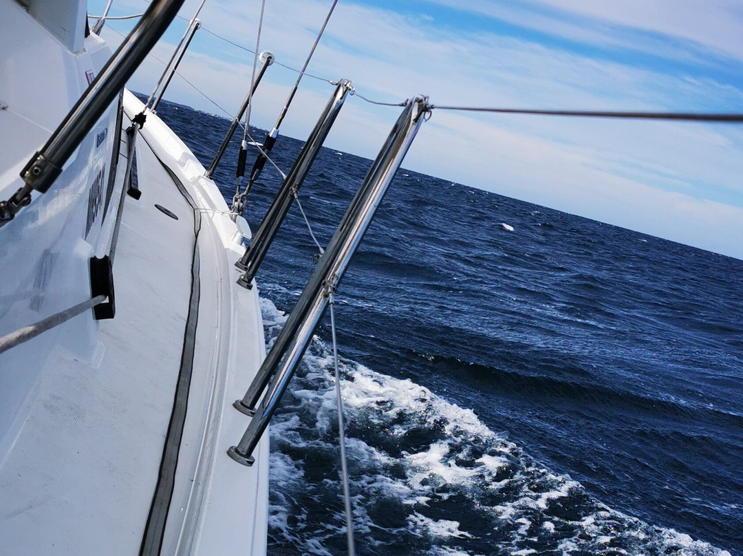 Oceanwest Charters-巴瑟尔顿必去景点