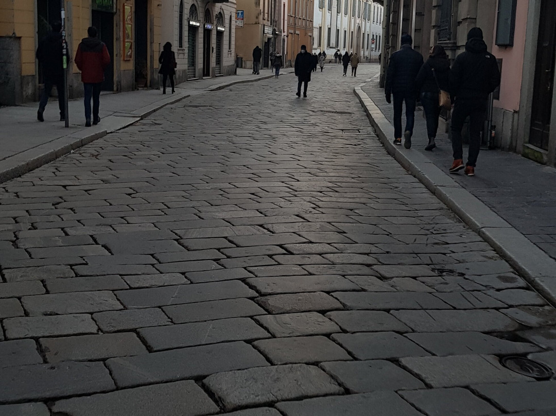 Statua di Giuseppe Garibaldi-帕维亚必去景点