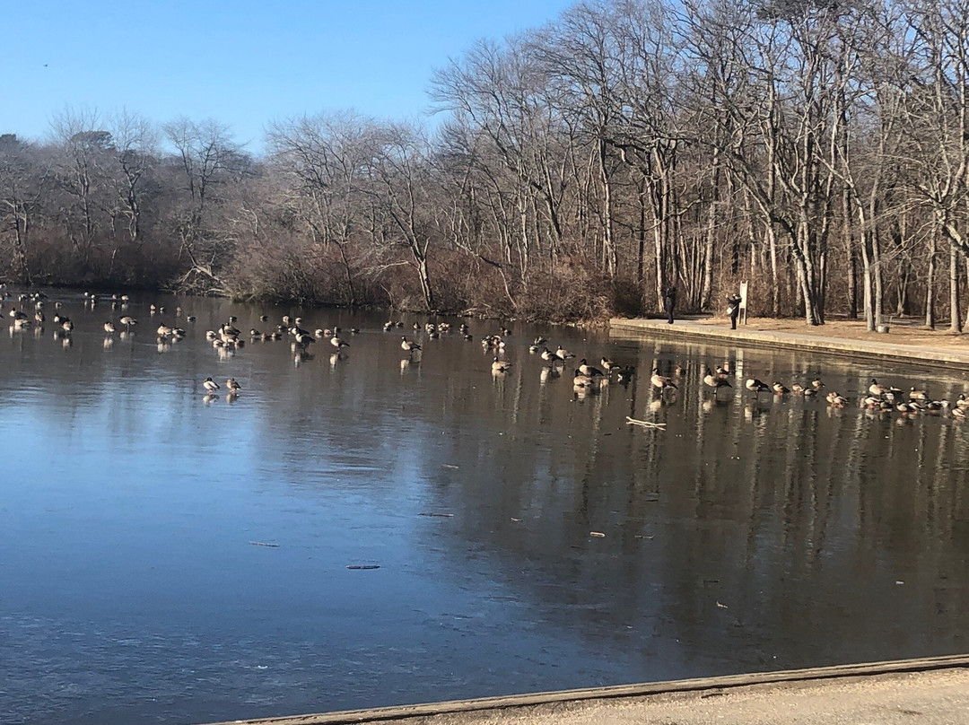 Belmont Lake State Park-North Babylon必去景点
