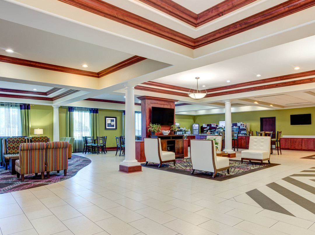 Holiday Inn Express & Suites Raceland - Highway 90 by IHG主图