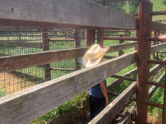 Tamworth Kootingal Horse Riding Adventures-塔姆沃思必去景点