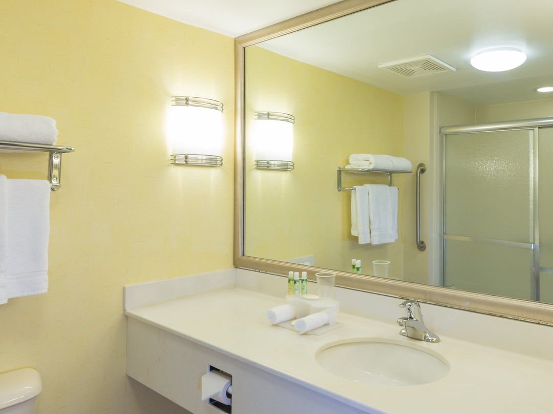 Holiday Inn Express & Suites Frackville by IHG主图