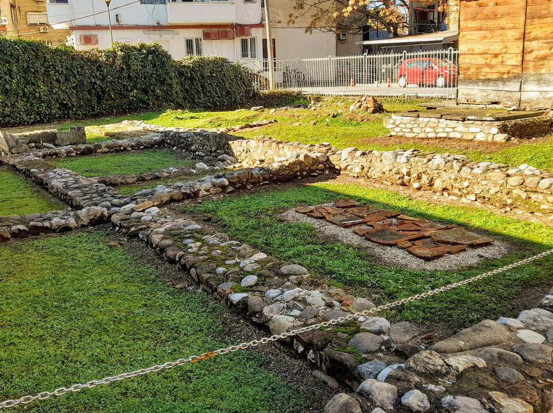 Mosaic of Tirana-地拉那必去景点