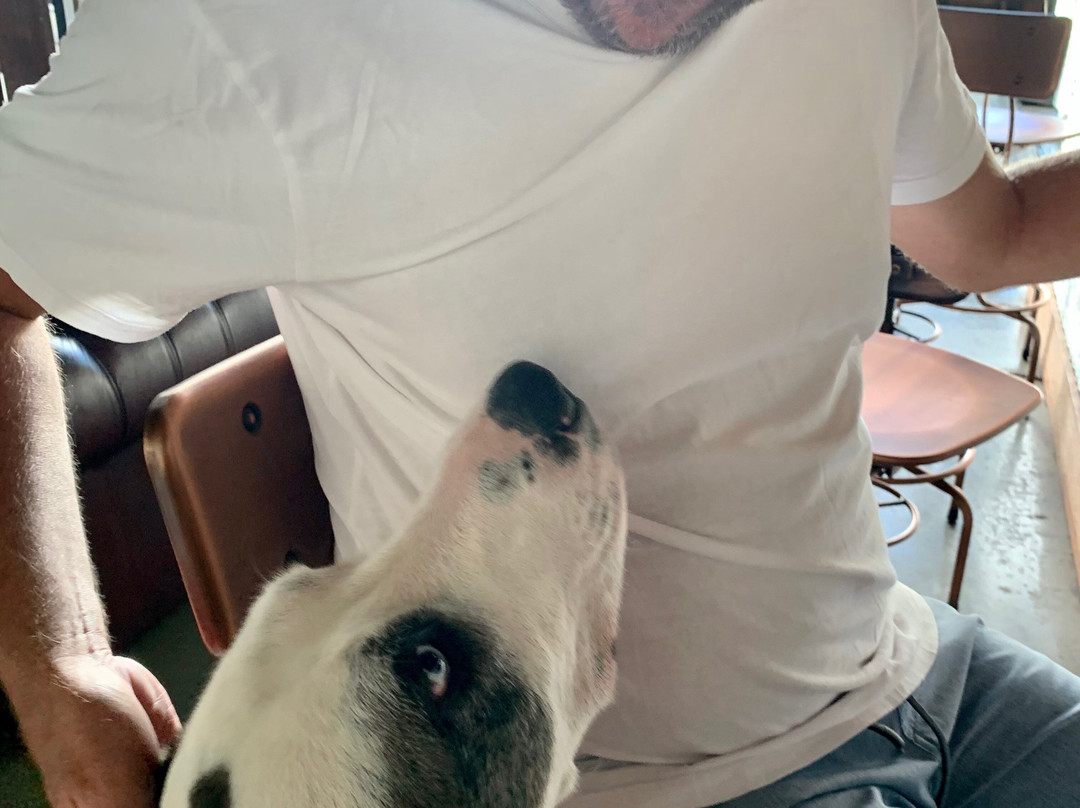 Wildflower Distillery-黄金海岸必去景点