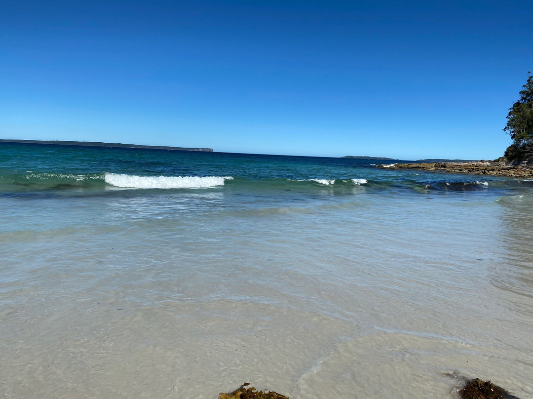Blenheim Beach景点图片
