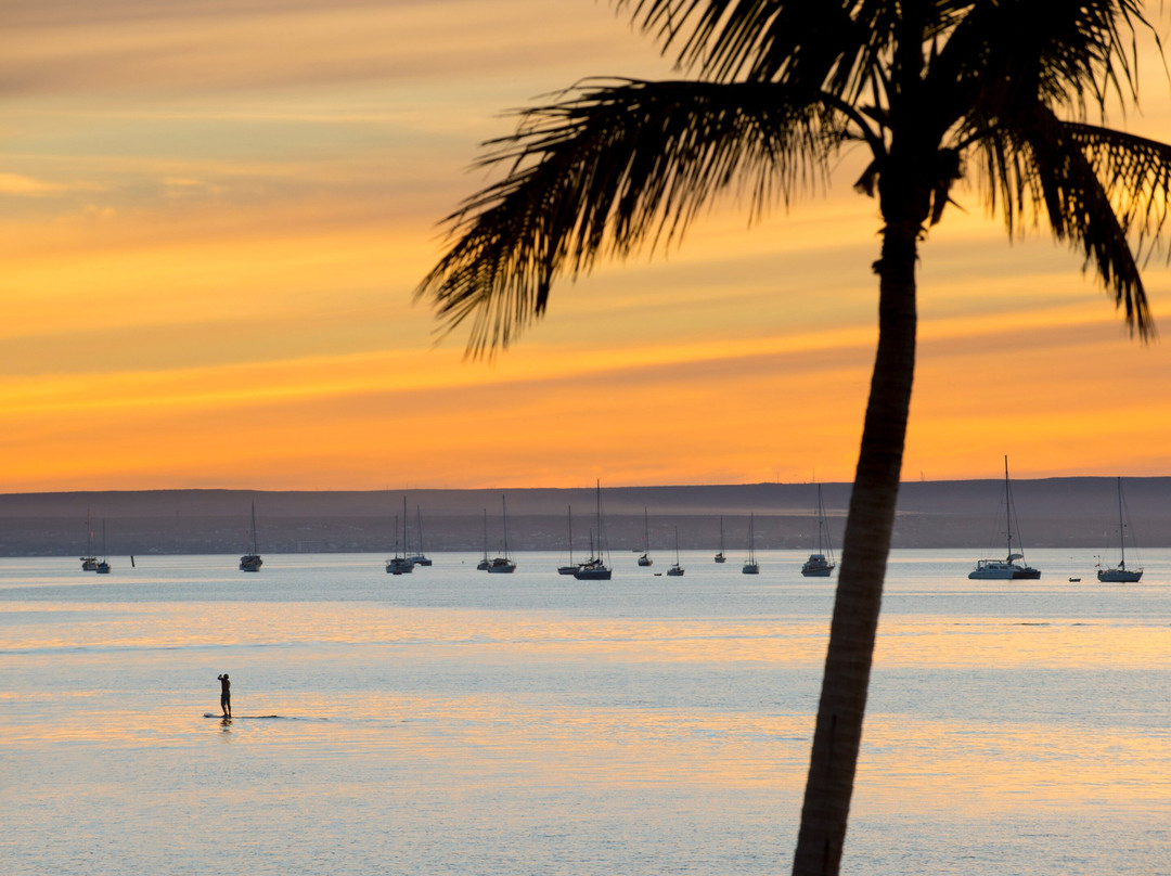 Sea Kayak Adventures-拉巴斯必去景点