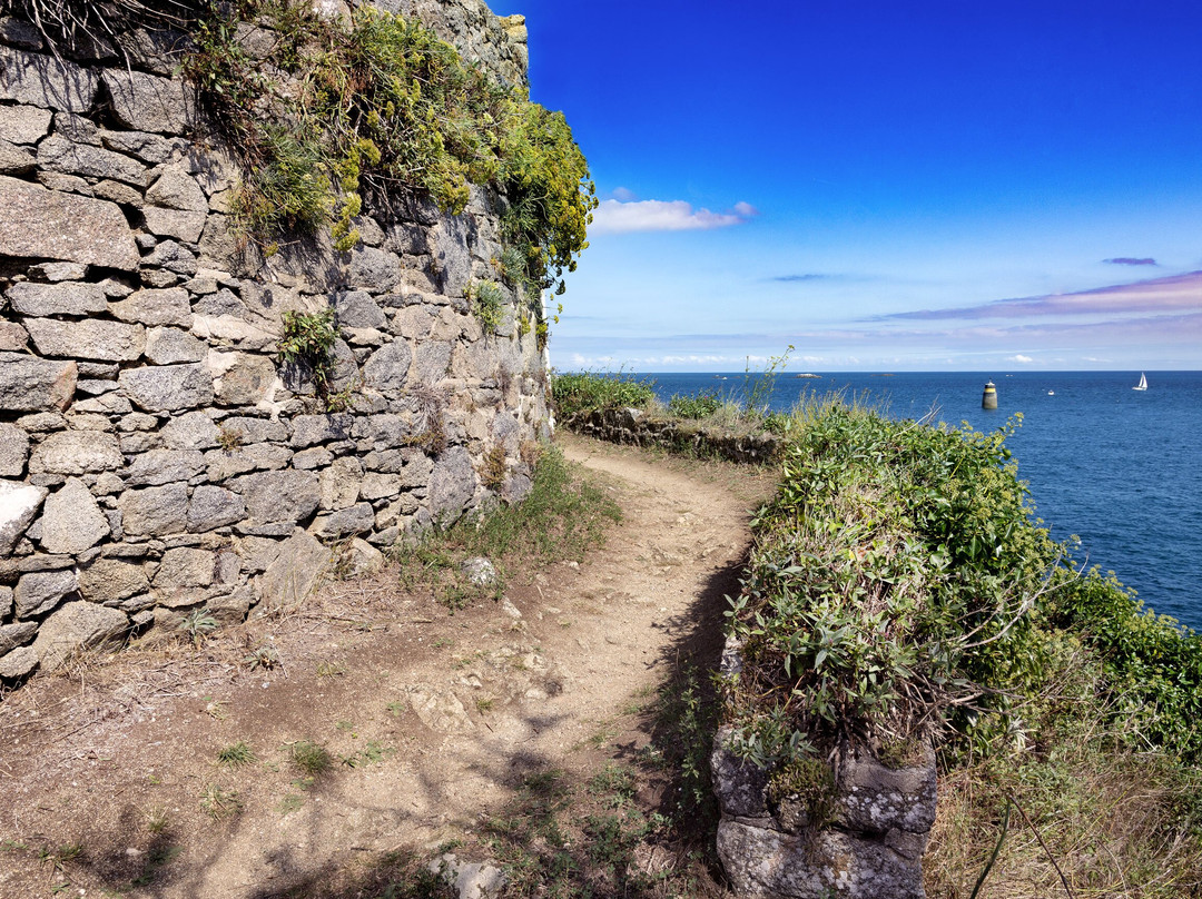 Ile de la Contesse景点图片