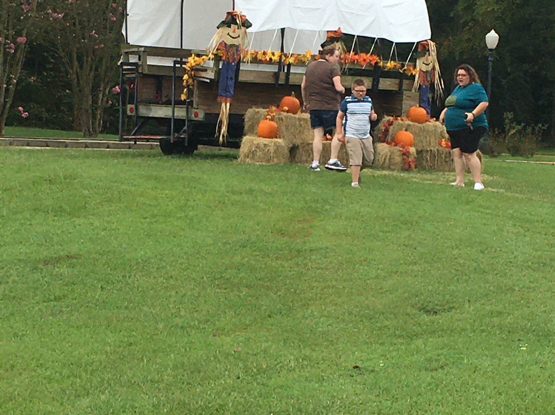 Chandler旅游攻略图片