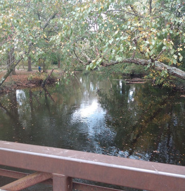 Silver Lake Park-多佛必去景点
