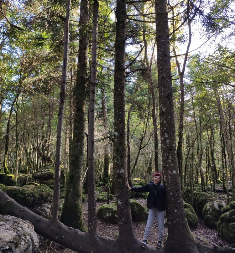 Le Labyrinthe Vert Nebias-Nebias必去景点