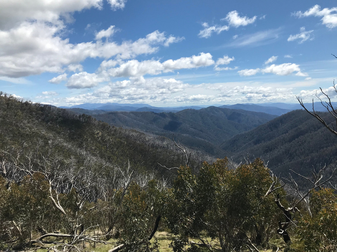 Dungey's Hollow-Hotham Heights必去景点