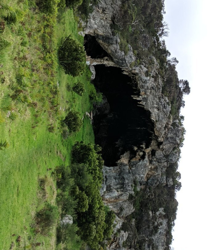 Tarragal Caves-Cape Bridgewater必去景点