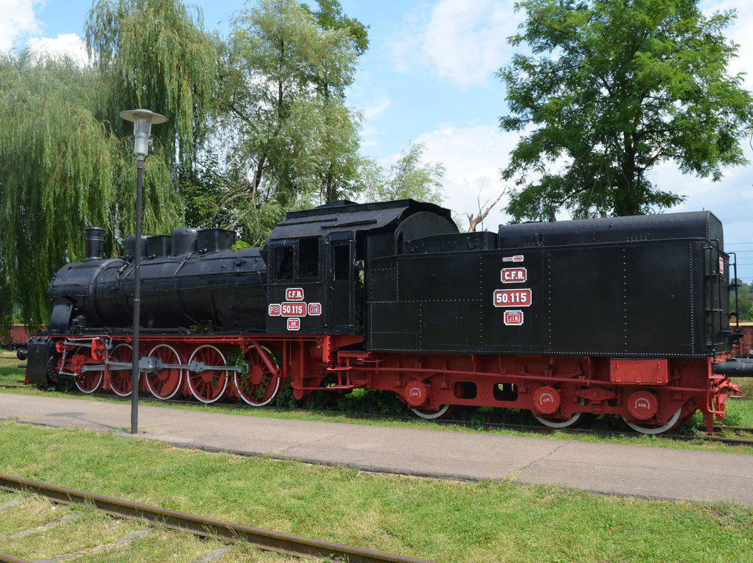 Muzeul de Locomotive (Steam Locomotive Museum)景点图片