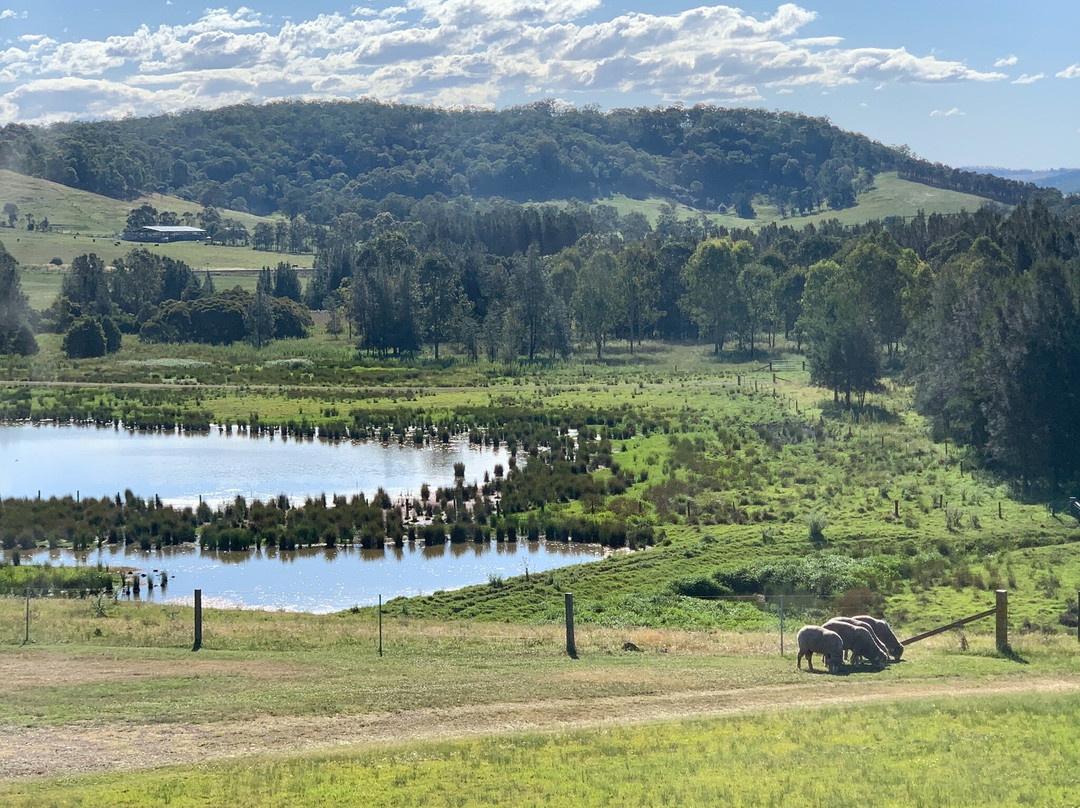 The Barracks Tocal主图