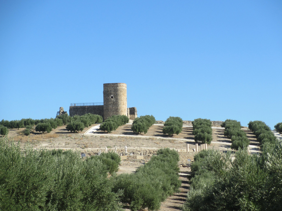 Torreparedones Parque Arqueologico景点图片