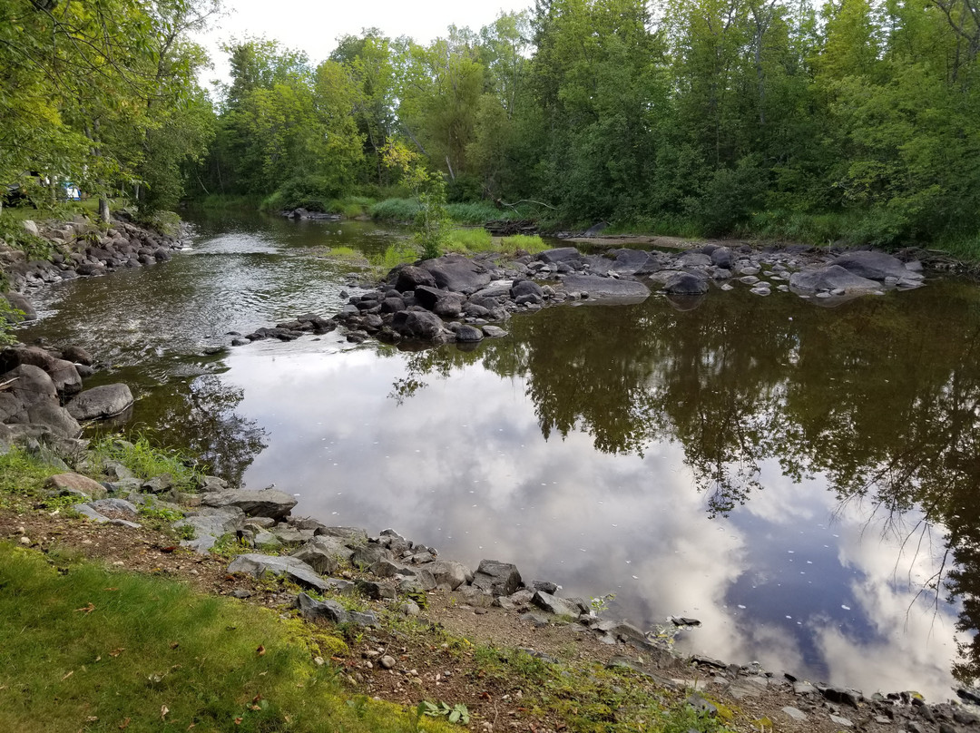 Pine Tree Campground