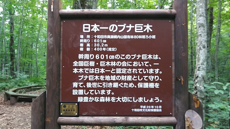 NIdokamui (Mori No Kami)-十和田市必去景点