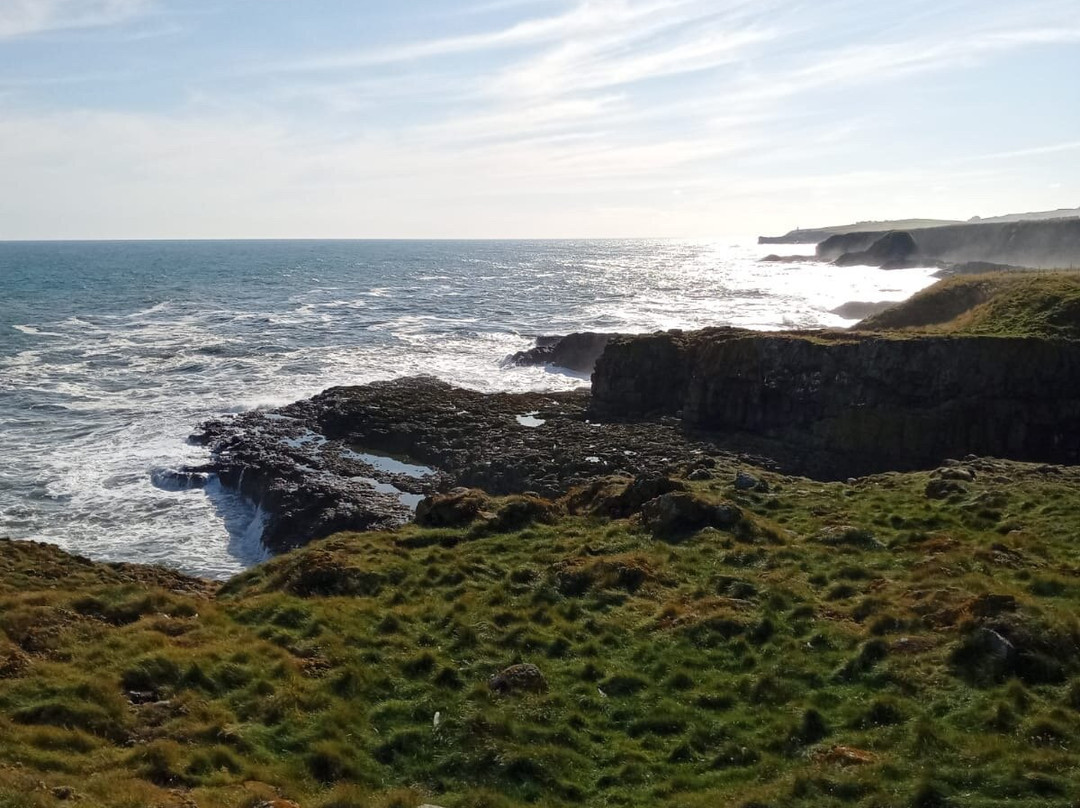 RSPB Fowlsheugh-斯通黑文必去景点