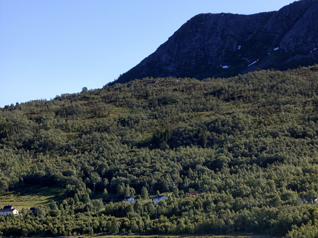 Tysfjord Turistsenter Hotel主图