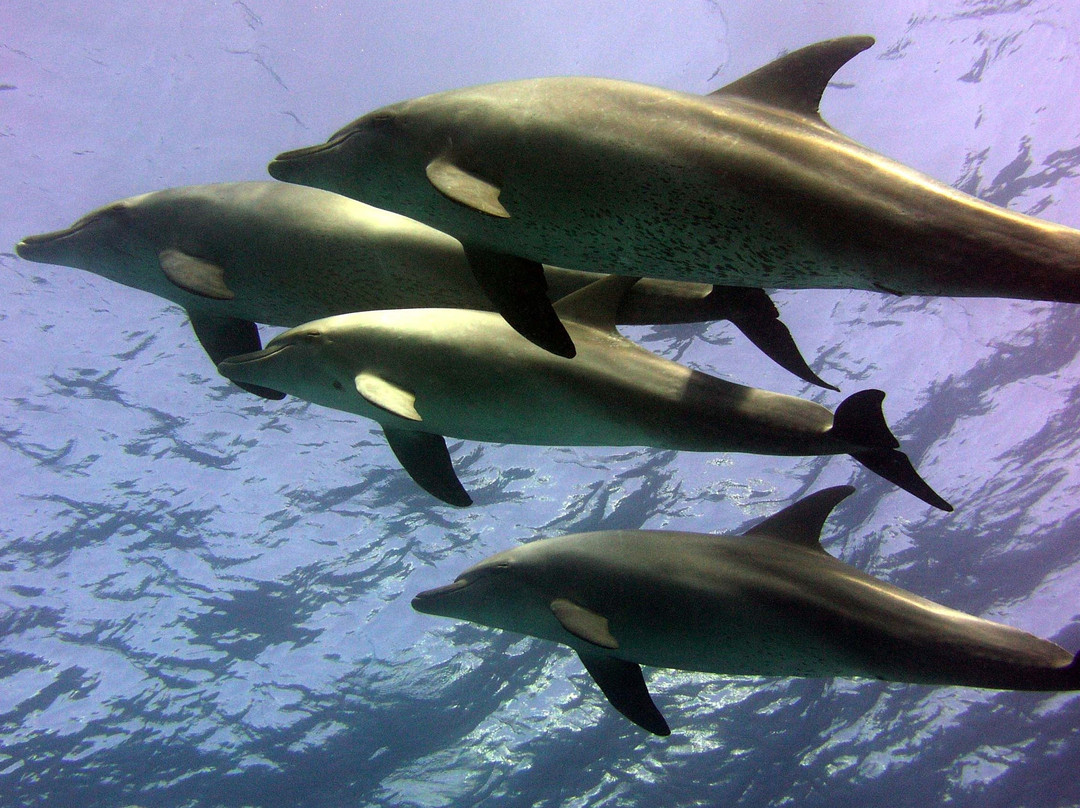 Got Your Guides-马卡迪湾必去景点