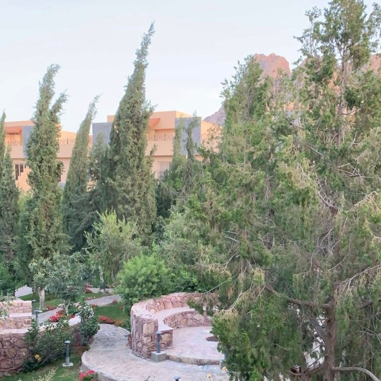 Al Wadi Touristic Resort主图