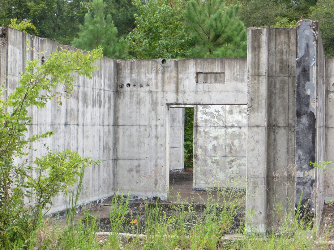 Caddo Lake National Wildlife Refuge-Karnack必去景点