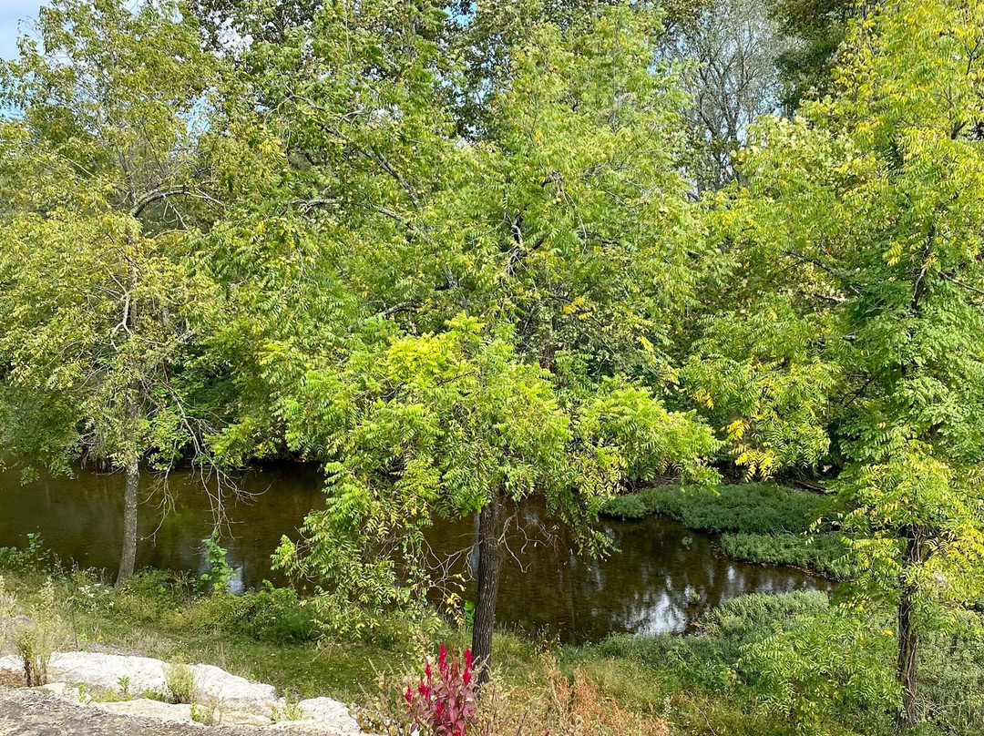 Plain & Fancy Bed & Breakfast主图