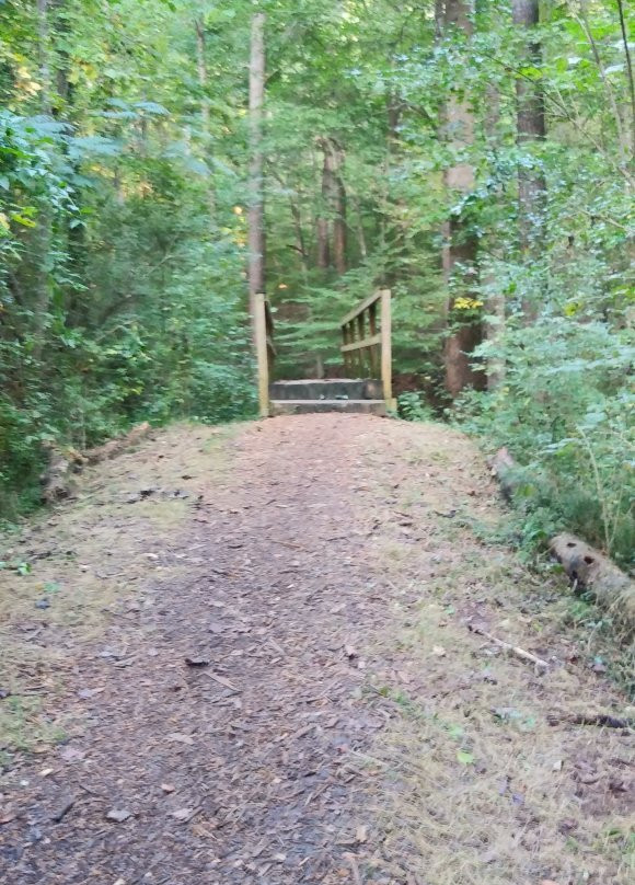 Big Trees Forest Preserve-桑迪斯普林斯必去景点