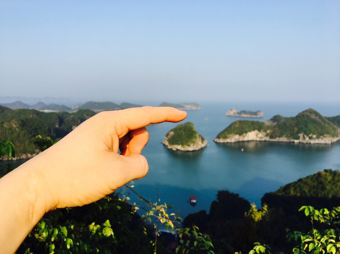 Den Dong Co-清化必去景点