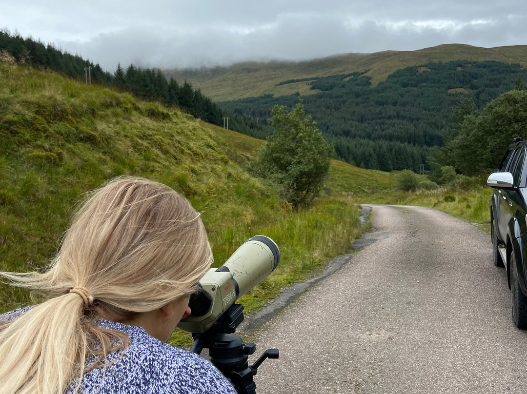 West Highland Wildlife Tours-阿盖尔比特必去景点