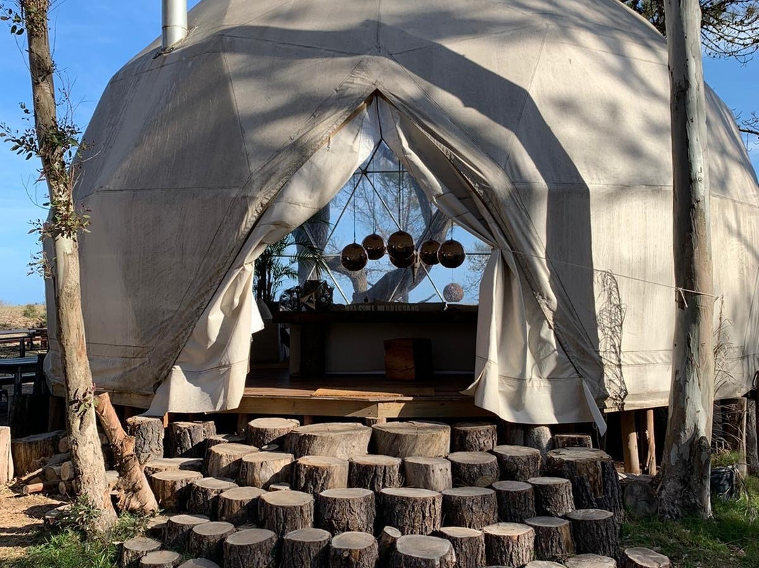 Big Bang Nature Stays主图