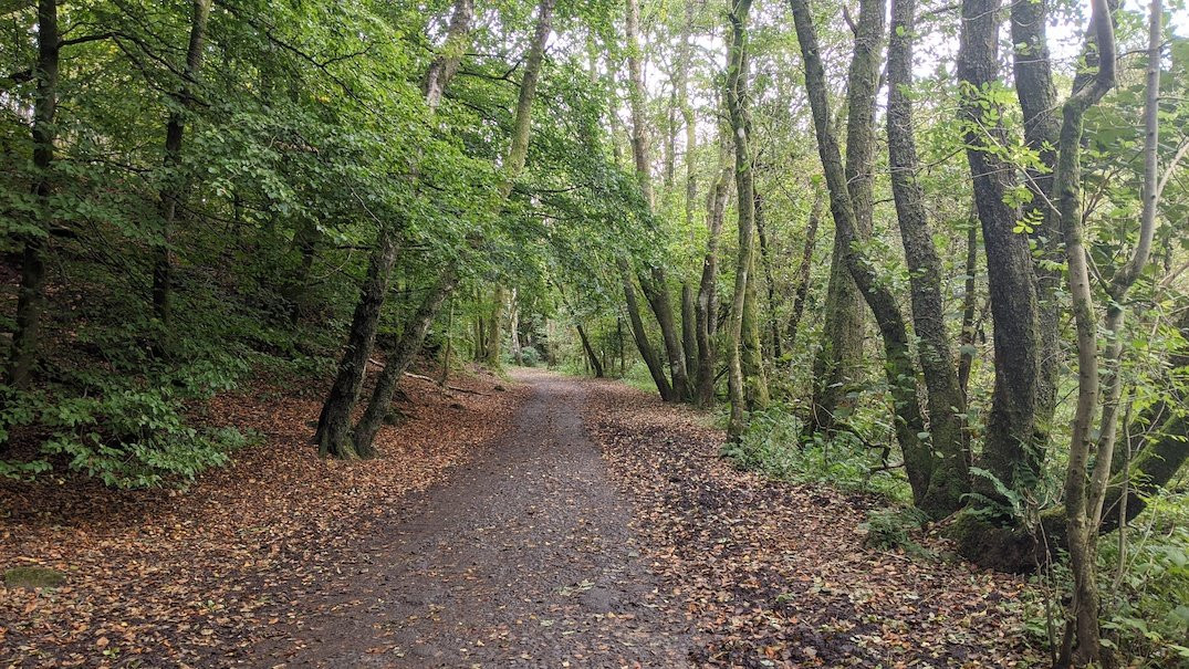 Mugdock Country Park-Milngavie必去景点