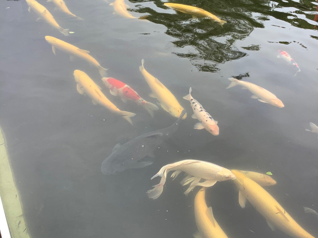 Saitama Aquarium-羽生市必去景点