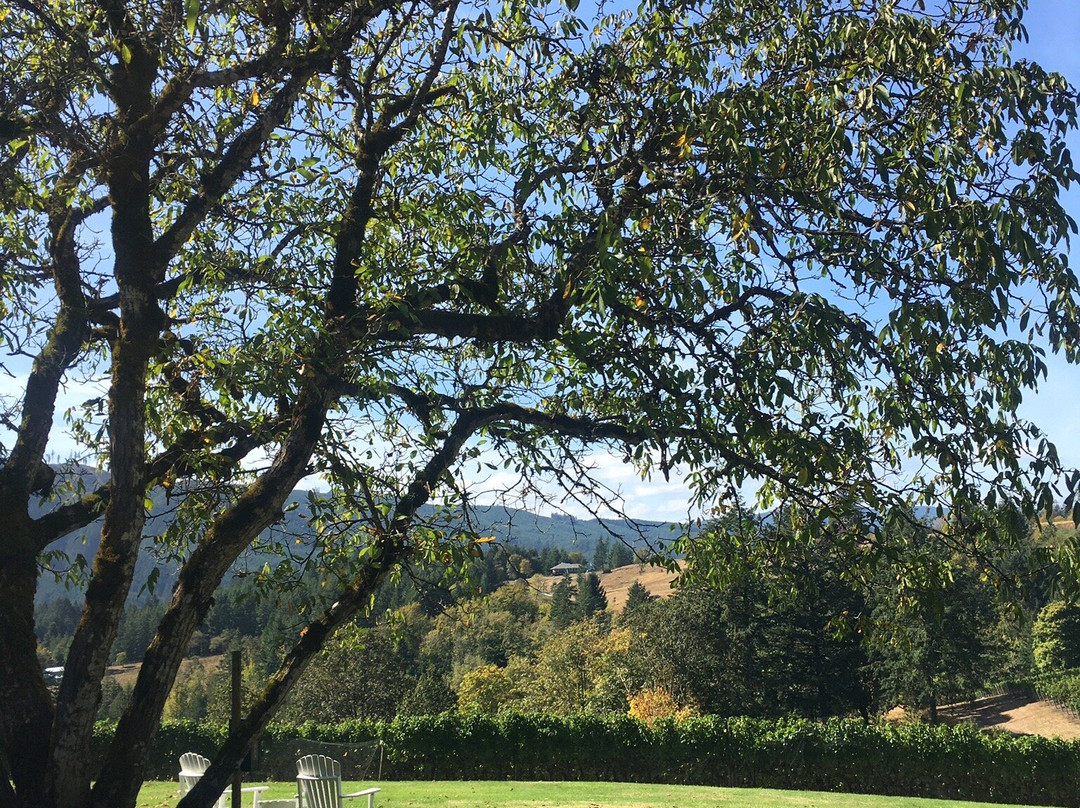 David Hill Winery-Forest Grove必去景点