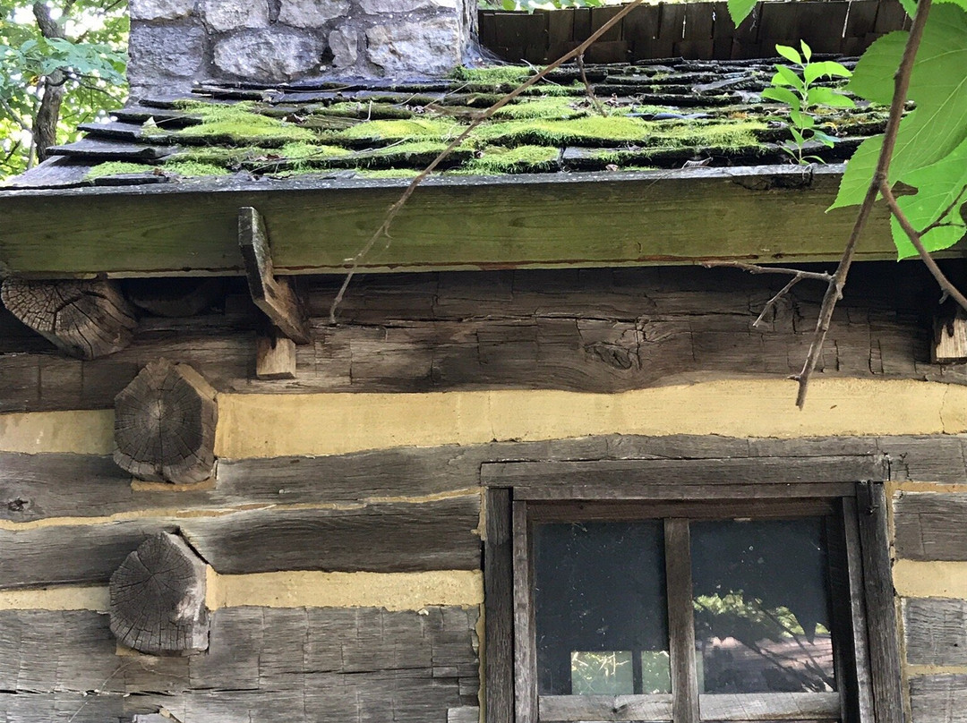 Lincoln's New Salem State Historic Site景点图片