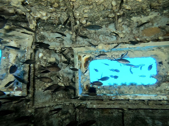 DiveBase Malta-圣保罗湾城必去景点