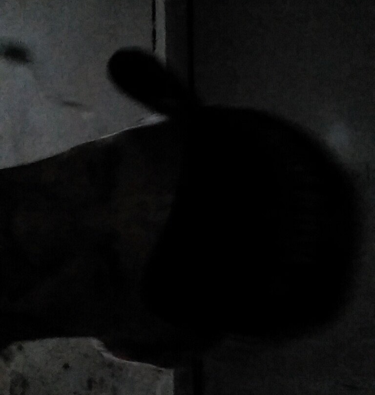 Extended Stay America - Cincinnati - Springdale - I-275主图