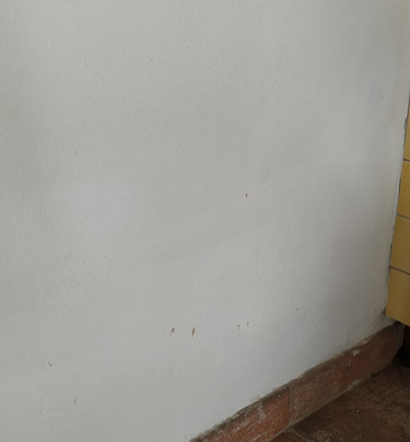 Borgo San Pecoraio主图