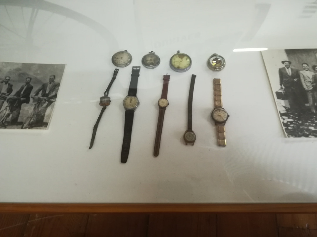 Museu da Lourinha景点图片