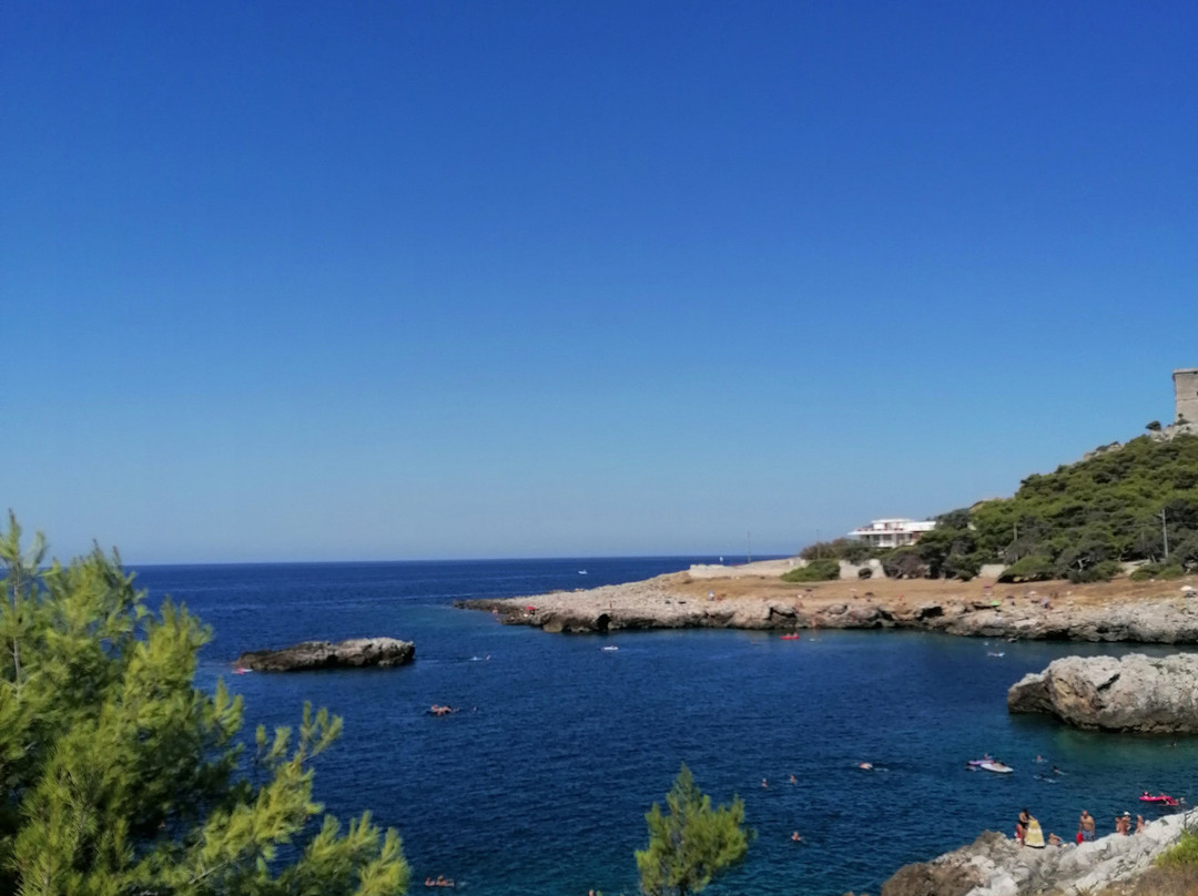 Torre Santa Maria dell'Alto景点图片