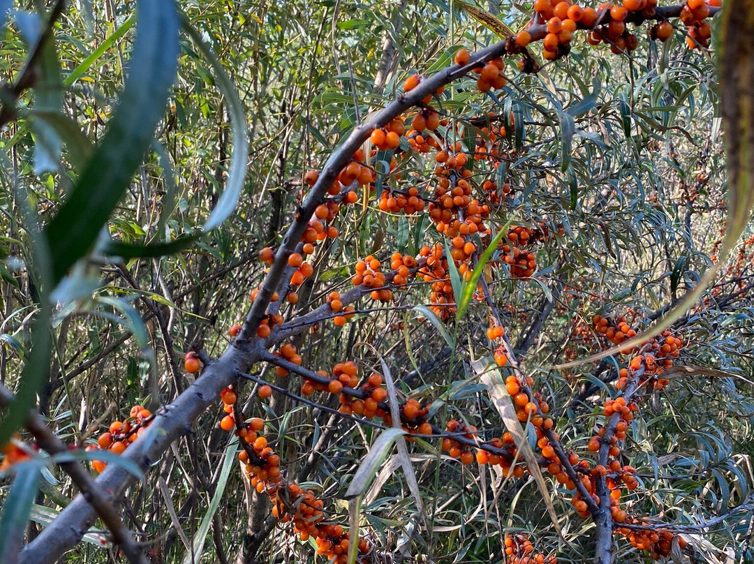 Museum-Preserve Kazanovka-Kazanovka必去景点