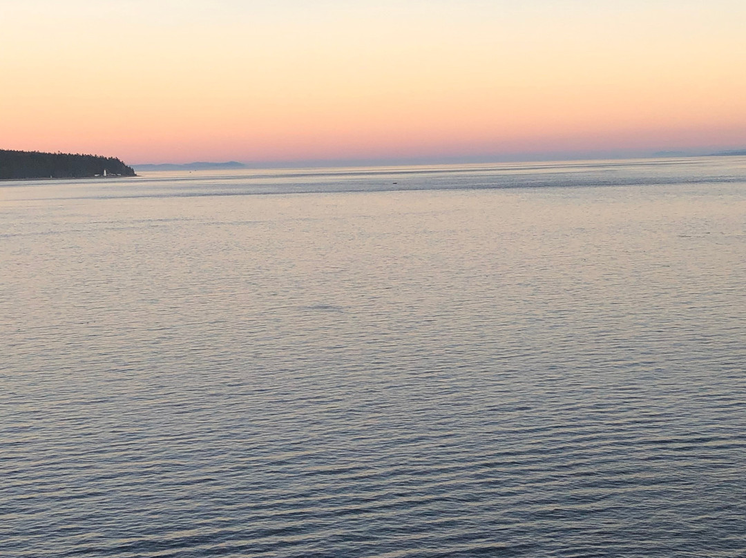 Anchor Inn & Suites主图