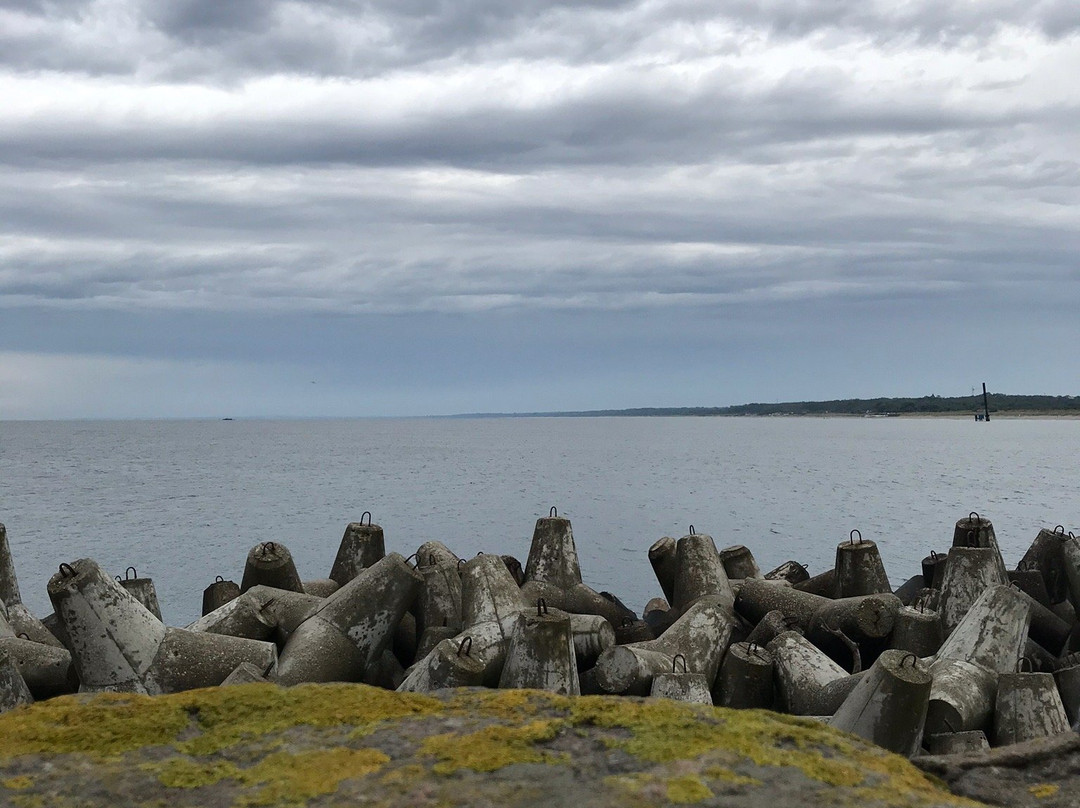 Baltiyskiy Natural Landscape Park景点图片