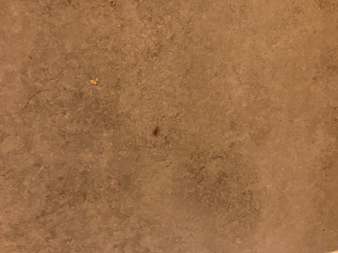 Turquoise Inn & Suites主图