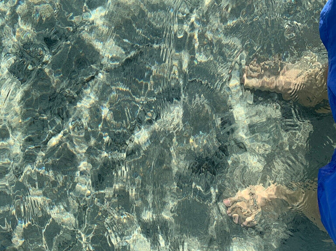 Ultima Spiaggia delle Cesine景点图片