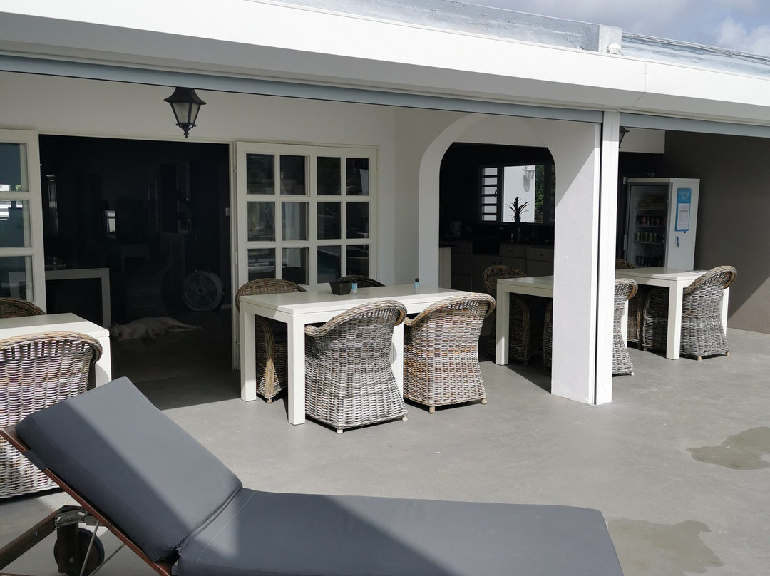 Hakuna Matata Bonaire - Beach & Diving主图