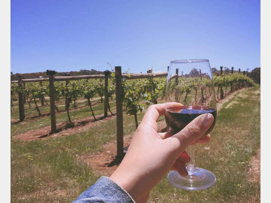Wombat Forest Vineyard-戴尔斯福特必去景点