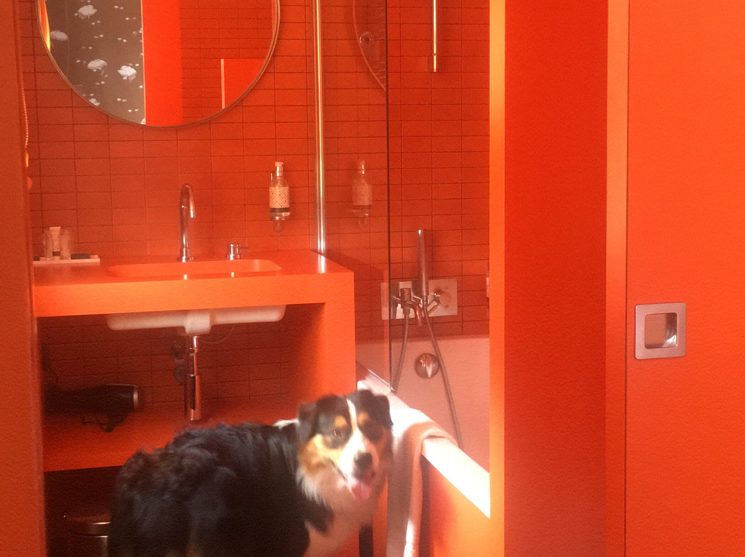 Hotel Montmorency Cité Médiévale主图