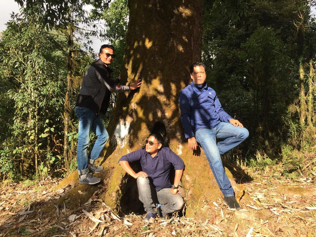 Tarey Bhir-Namchi必去景点